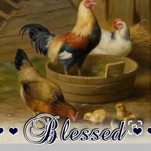 Meet your Posher, Annette